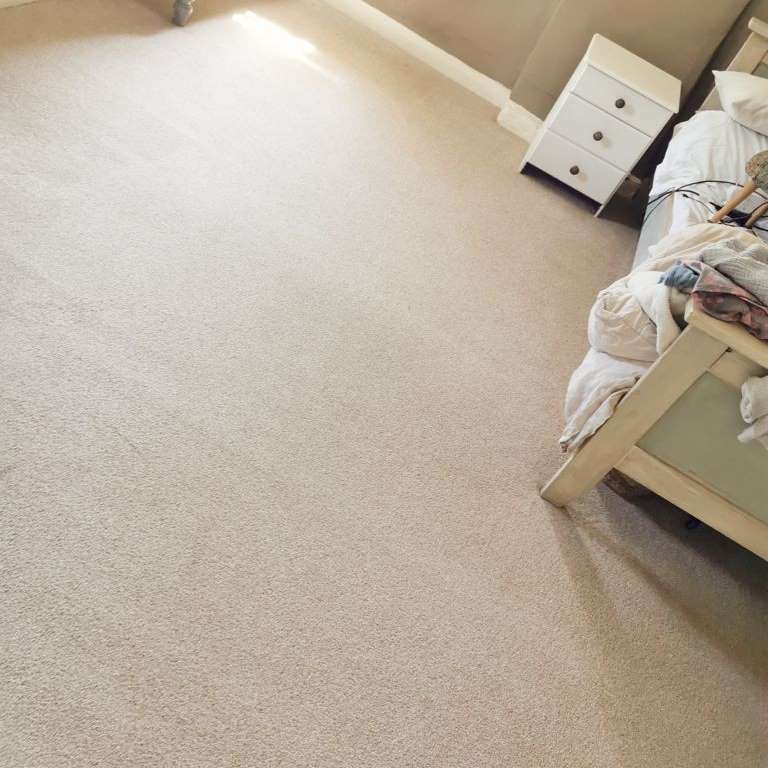 Carpet Cleaner Near Me