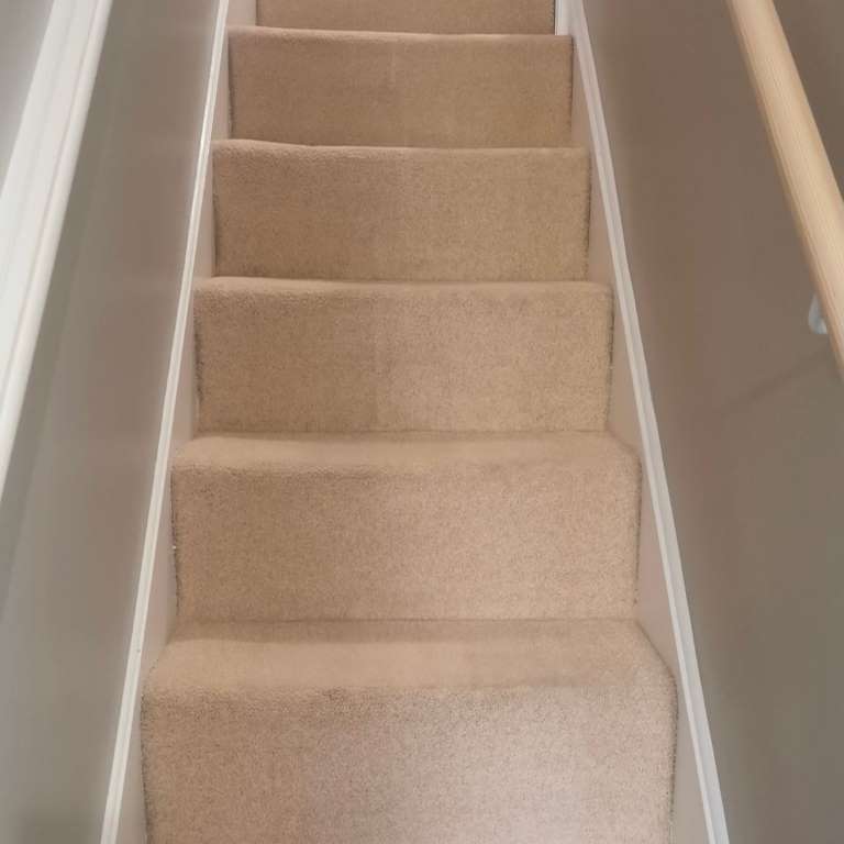 Carpet Cleaner Near Me