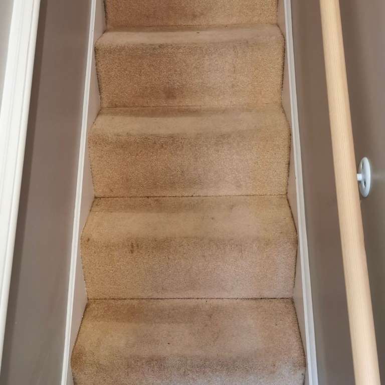Carlisle Carpet Cleaning